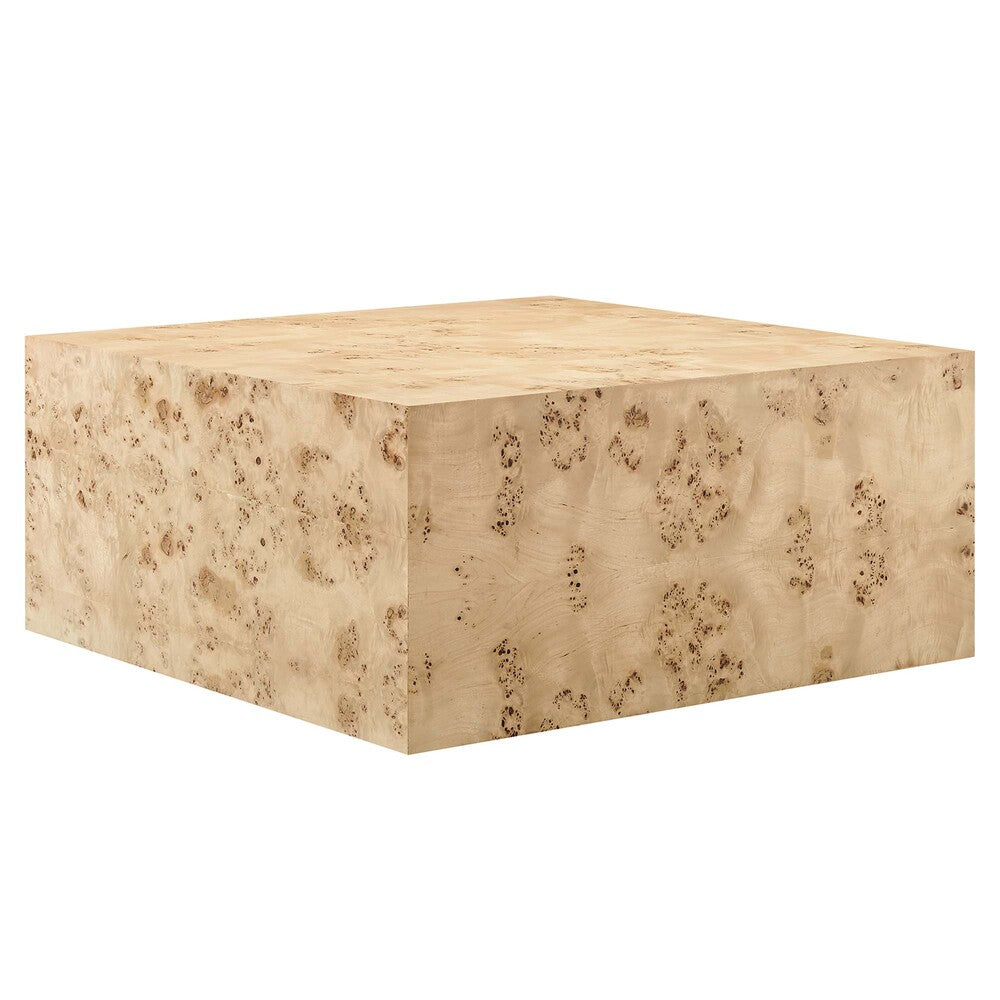 Modway EEI-6272 Cosmos 36" Square Burl Wood Coffee Table