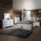 ACME 21700Q Ireland Queen Bed with Storage, White (1Set/4Ctn)