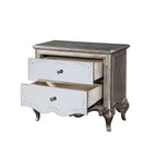 ACME 22203 Esteban Nightstand (2 Drw), Antique Champagne
