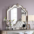ACME 22204 Esteban Mirror, Antique Champagne