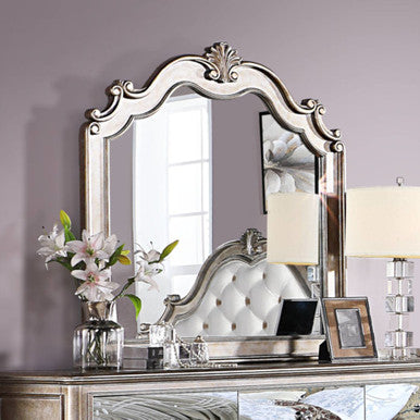 ACME 22204 Esteban Mirror, Antique Champagne