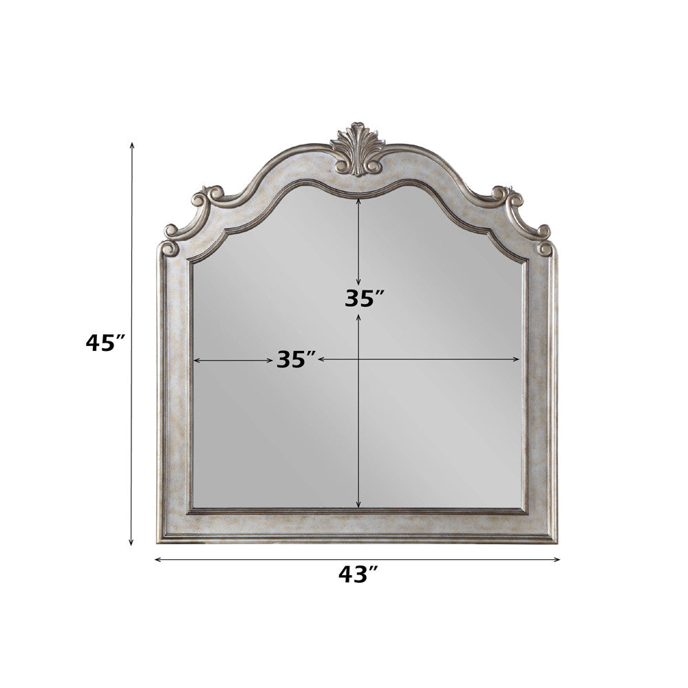 ACME 22204 Esteban Mirror, Antique Champagne
