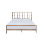 ACME 22690Q Marianne Queen Bed, Copper