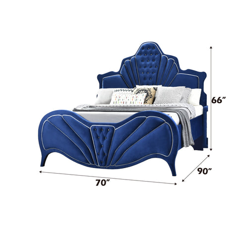 ACME 24220Q Dante Queen Bed, Blue Velvet