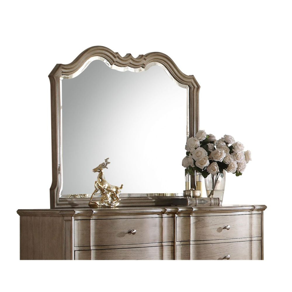 ACME 26054 Chelmsford Mirror, Antique Taupe