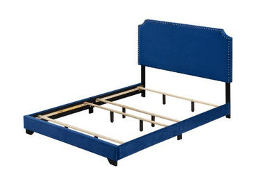 ACME 26760Q Haemon Queen Bed - Blue Fabric, Blue Fabric