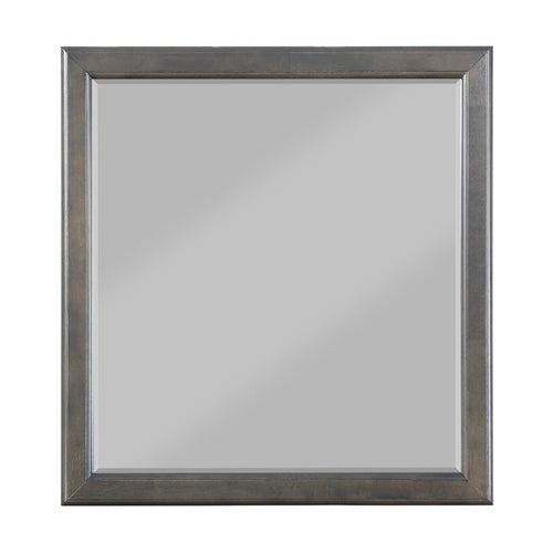ACME 26794 Louis Philippe Mirror, Dark Gray