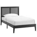 Modway MOD-7152 Sirocco Rattan and Wood Twin Platform Bed