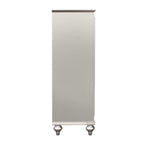 ACME 27236 Kaitlyn Chest, Champagne