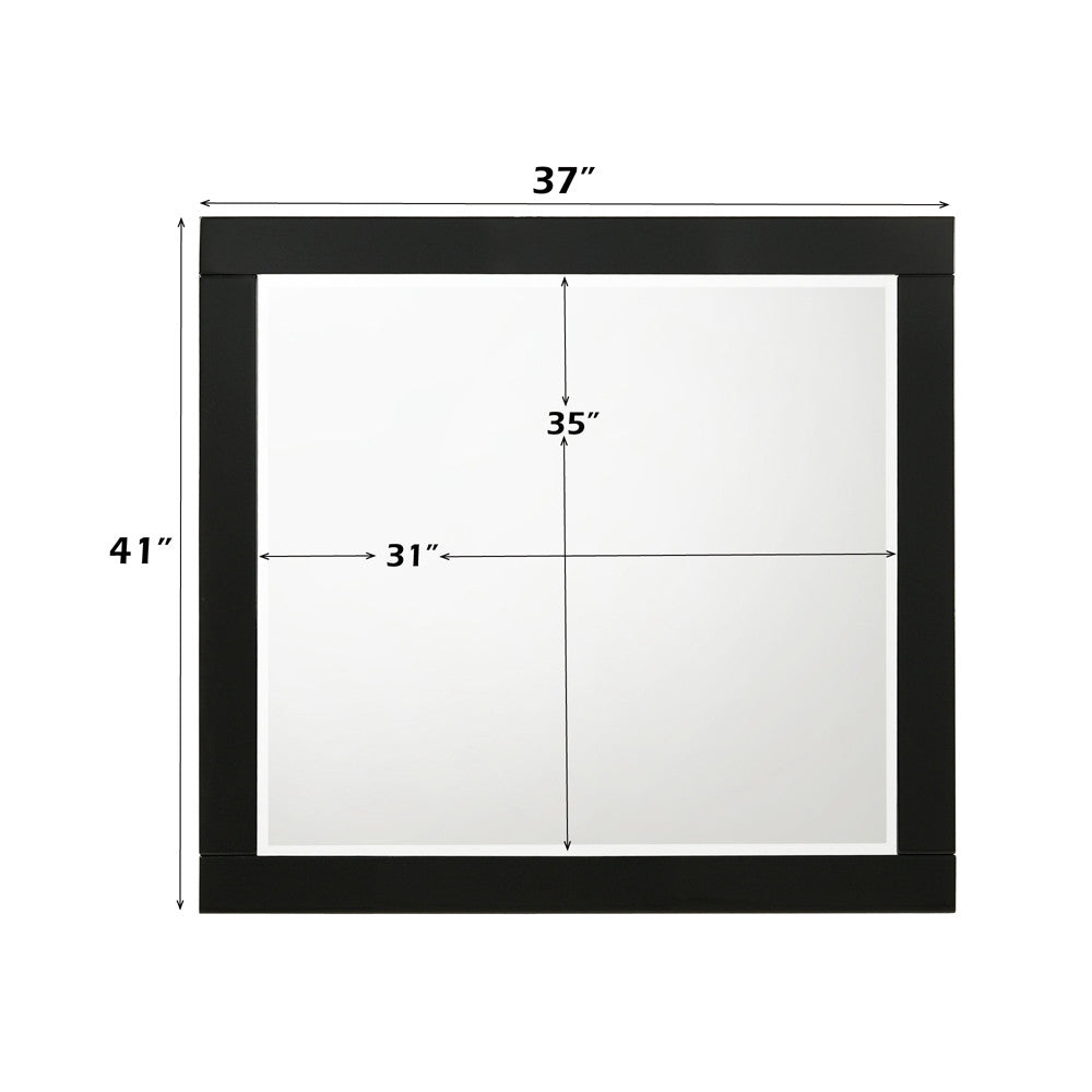 ACME 27414 Chelsie Mirror Black Finish