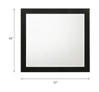 ACME 27414 Chelsie Mirror Black Finish