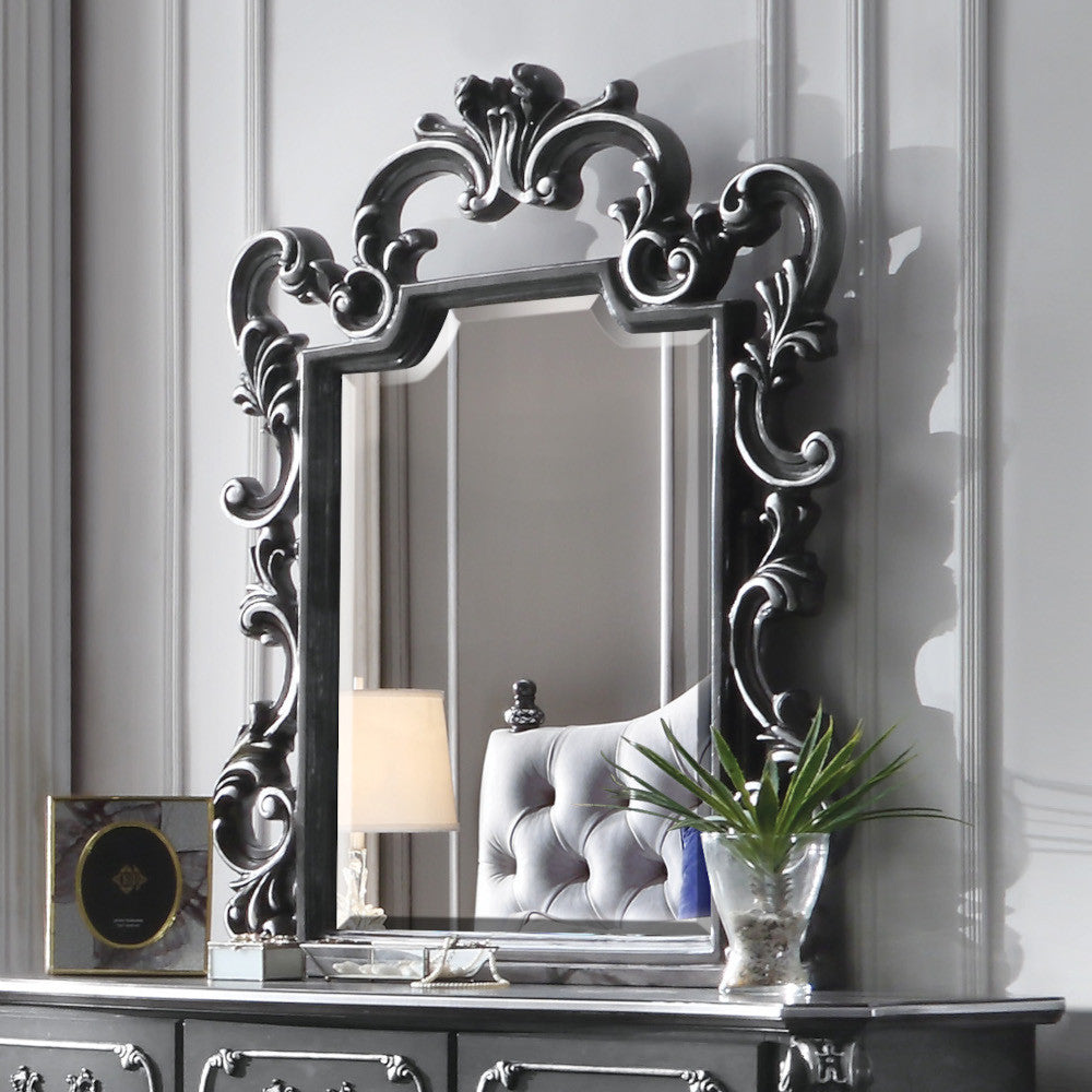 ACME 28834 House Delphine Mirror, Charcoal Finish