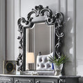 ACME 28834 House Delphine Mirror, Charcoal Finish