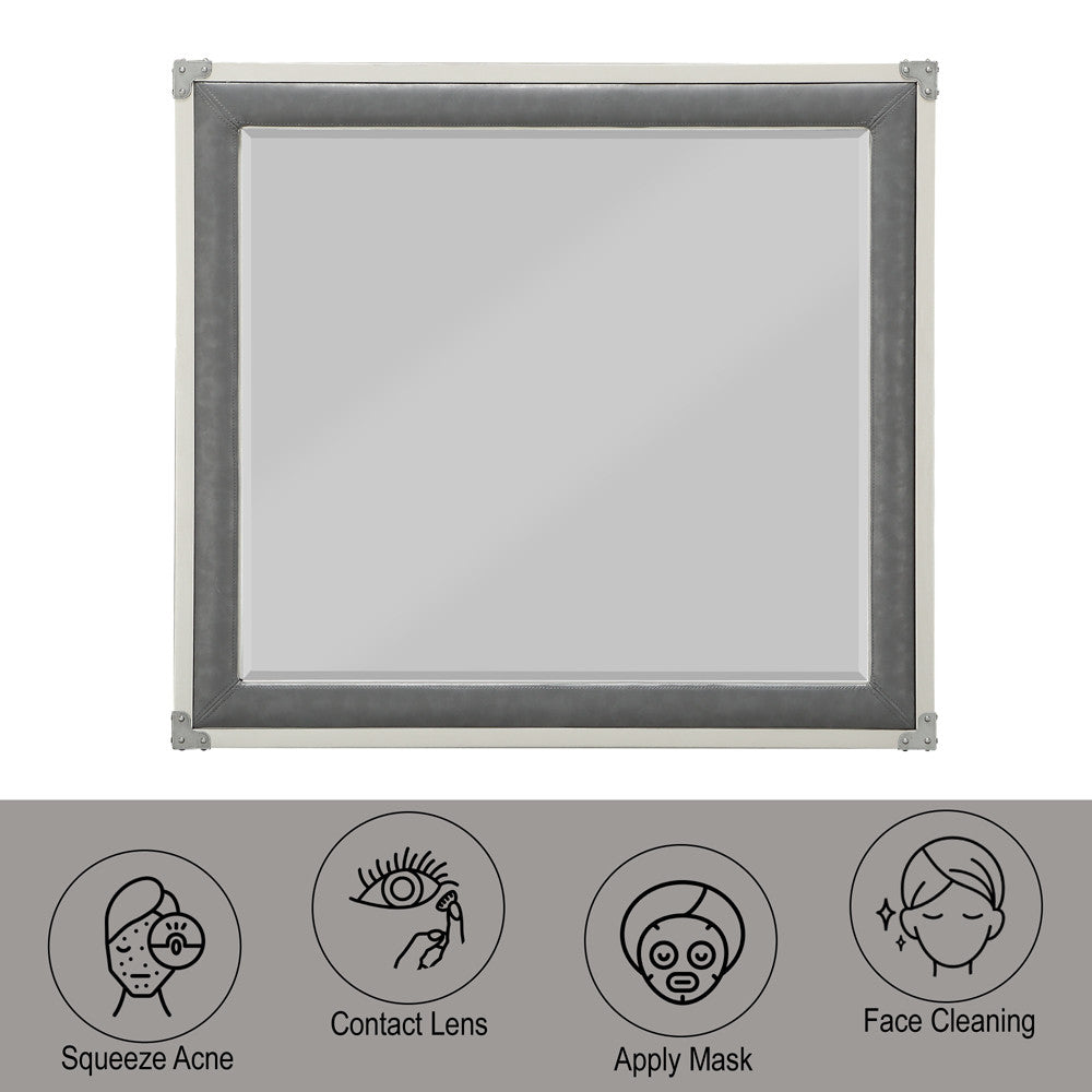ACME 36139 Orchest Mirror, Gray