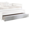 ACME 39083 Cominia Daybed - Trundle, White