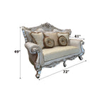 ACME 50661 Bently Loveseat with 5 Pillows, Fabric & Champagne