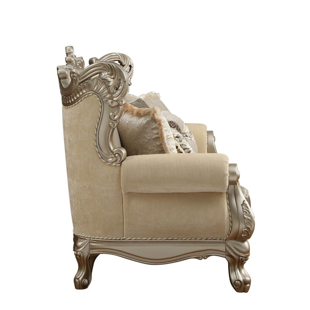 ACME 51040 Ranita Sofa with 7 Pillows, Fabric & Champagne (1Set/2Ctn)