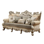 ACME 51040 Ranita Sofa with 7 Pillows, Fabric & Champagne (1Set/2Ctn)