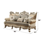 ACME 51040 Ranita Sofa with 7 Pillows, Fabric & Champagne (1Set/2Ctn)