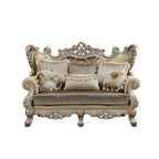 ACME 51041 Ranita Loveseat with 6 Pillows, Fabric & Champagne (1Set/2Ctn)