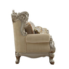 ACME 51041 Ranita Loveseat with 6 Pillows, Fabric & Champagne (1Set/2Ctn)