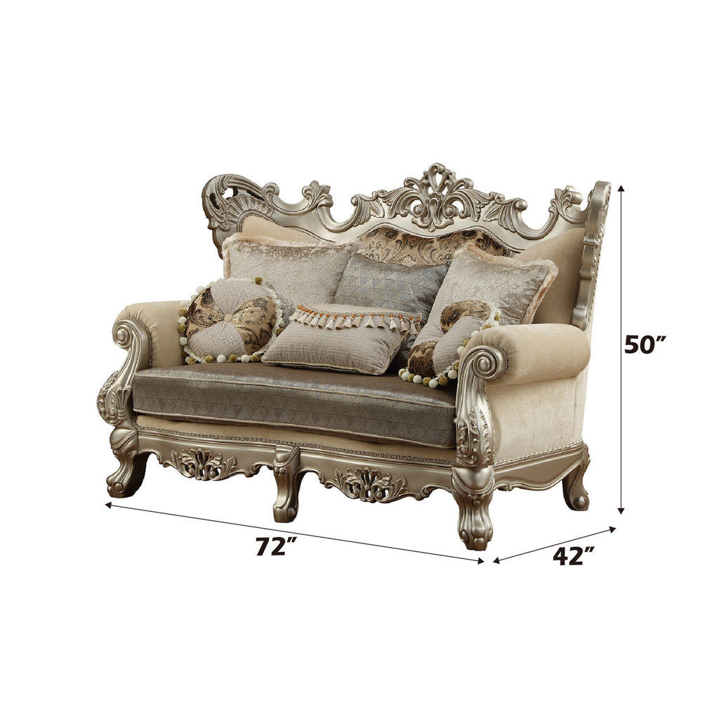 ACME 51041 Ranita Loveseat with 6 Pillows, Fabric & Champagne (1Set/2Ctn)