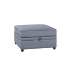 ACME 53307 Bois II Storage Ottoman, Gray Velvet