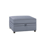 ACME 53307 Bois II Storage Ottoman, Gray Velvet