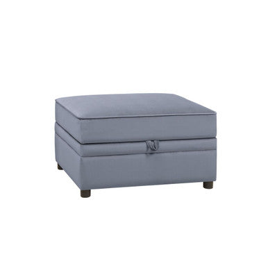 ACME 53307 Bois II Storage Ottoman, Gray Velvet