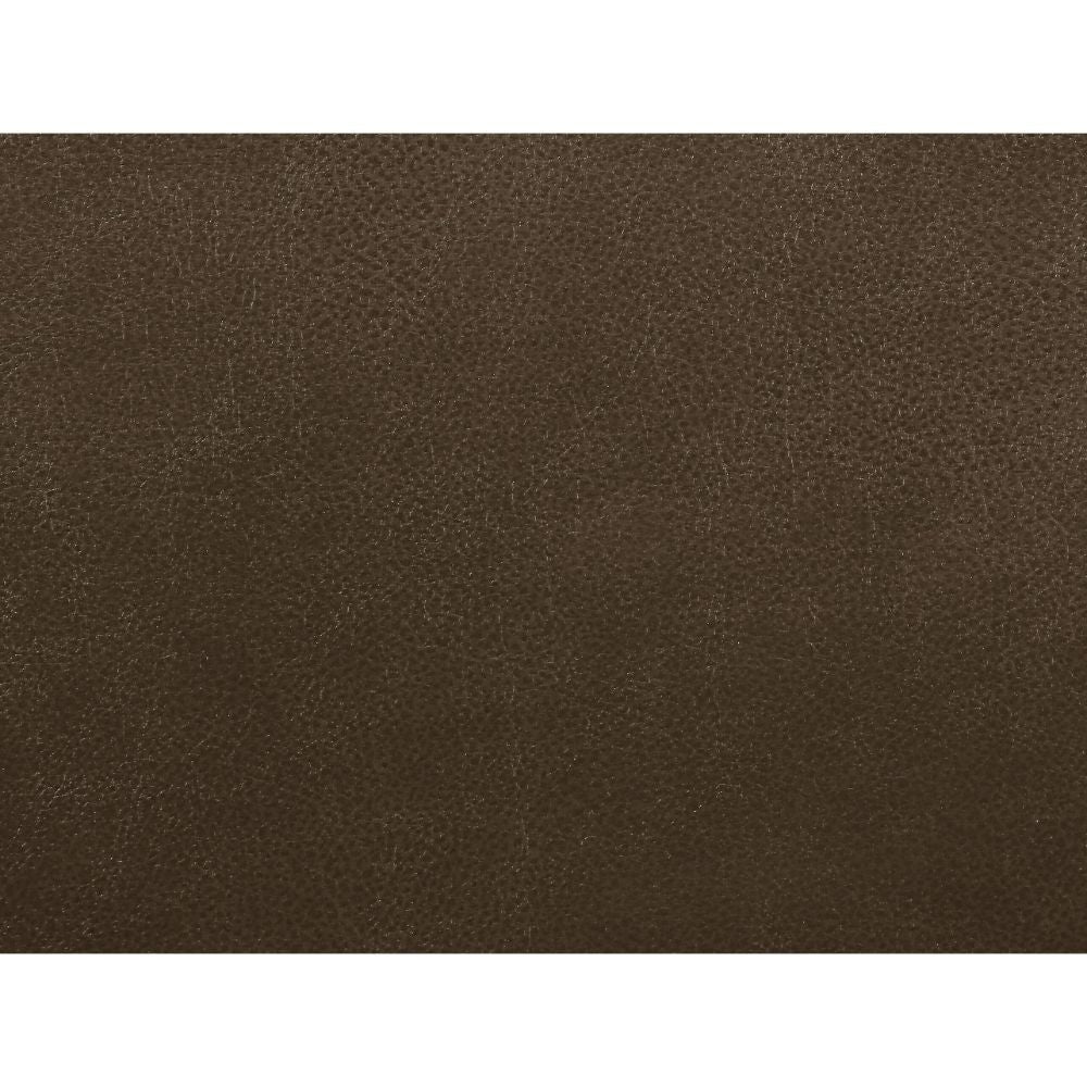 ACME 55420 Aashi Motion Sofa, Brown Leather-Gel Match