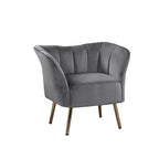 ACME 59797 Reese Accent Chair, Gray Velvet & Gold