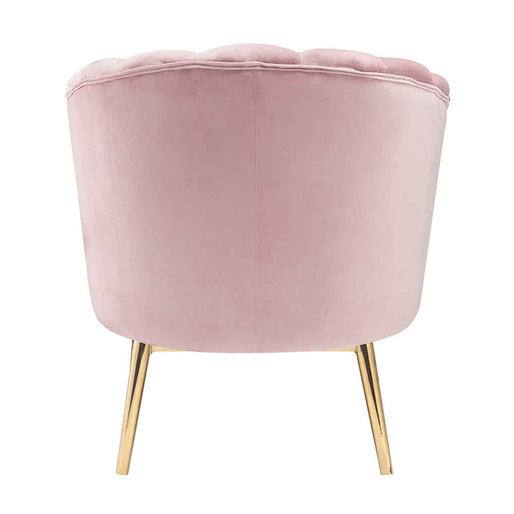 ACME 59814 Colla Accent Chair, Blush Pink Velvet & Gold