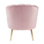 ACME 59814 Colla Accent Chair, Blush Pink Velvet & Gold