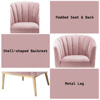 ACME 59814 Colla Accent Chair, Blush Pink Velvet & Gold