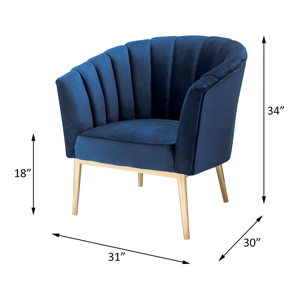 ACME 59815 Colla Accent Chair, Midnight Blue Velvet & Gold