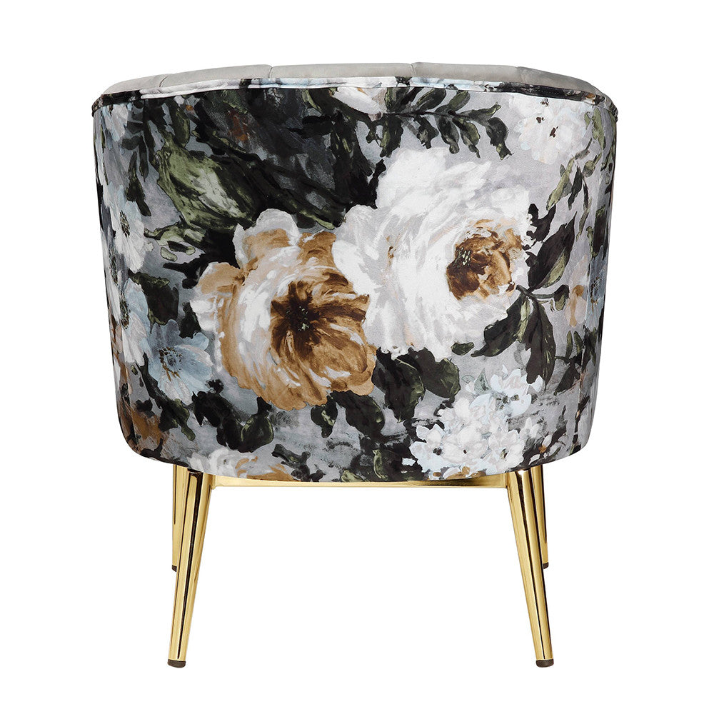 ACME 59816 Colla Accent Chair, Black Velvet & Gold