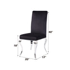 ACME 62072 Fabiola Side Chair (Set-2), Fabric & Stainless Steel