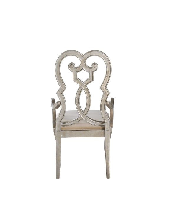 ACME 62203 Esteban Arm Chair  1