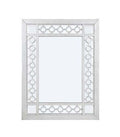 ACME 66158 Varian Mirror, Mirrored & Antique Platinum