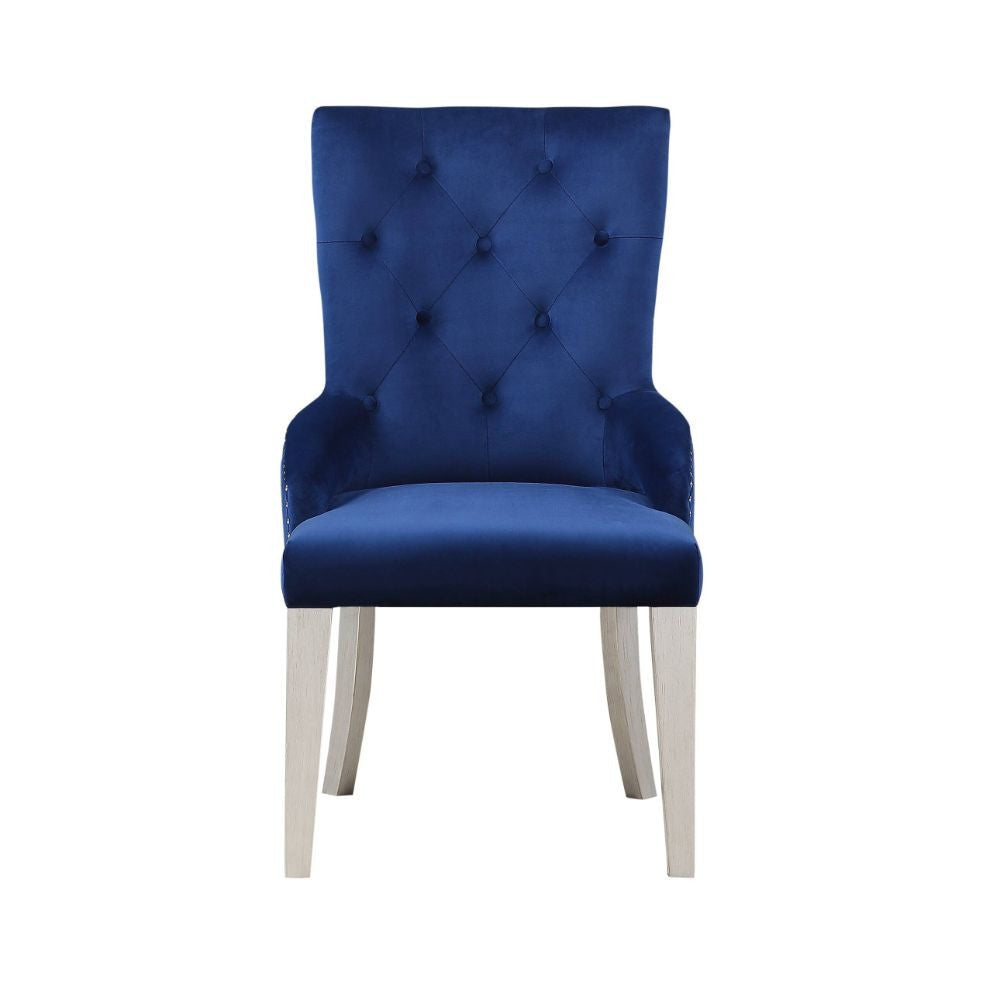 ACME 66162 Varian Side Chair (1 Piece), Blue Fabric & Antique Platinum