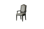 ACME House Beatrice Arm Chair (Set-2) - 68813  1