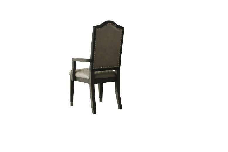 ACME House Beatrice Arm Chair (Set-2) - 68813  3