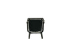 ACME House Beatrice Arm Chair (Set-2) - 68813  6