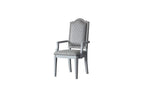 ACME House Marchese Arm Chair (Set-2) - 68863