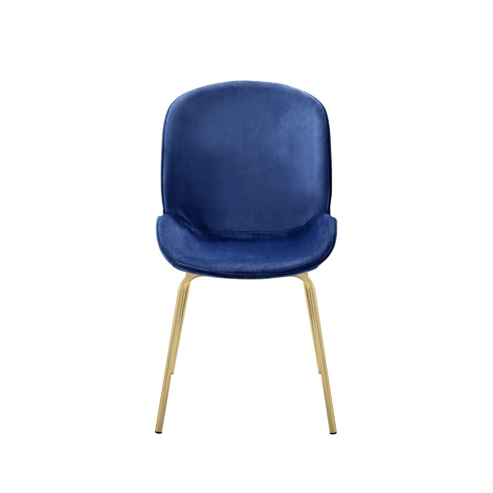 ACME 72947 Chuchip Side Chair (Set-2), Blue Velvet & Gold