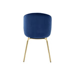 ACME 72947 Chuchip Side Chair (Set-2), Blue Velvet & Gold
