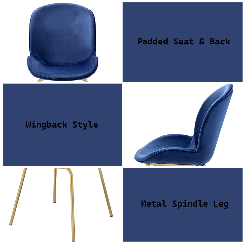 ACME 72947 Chuchip Side Chair (Set-2), Blue Velvet & Gold