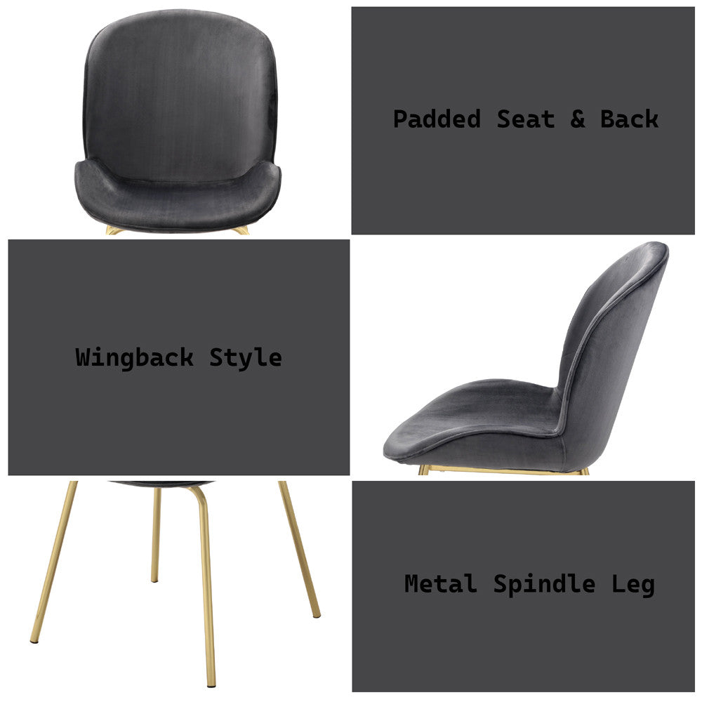 ACME 72948 Chuchip Side Chair (Set-2), Gray Velvet & Gold