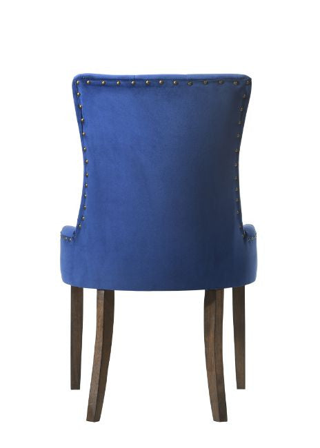 ACME 77165 Farren Side Chair, Blue Velvet & Espresso Finish