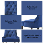 ACME 77165 Farren Side Chair, Blue Velvet & Espresso Finish
